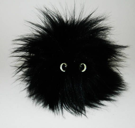 furry black thing